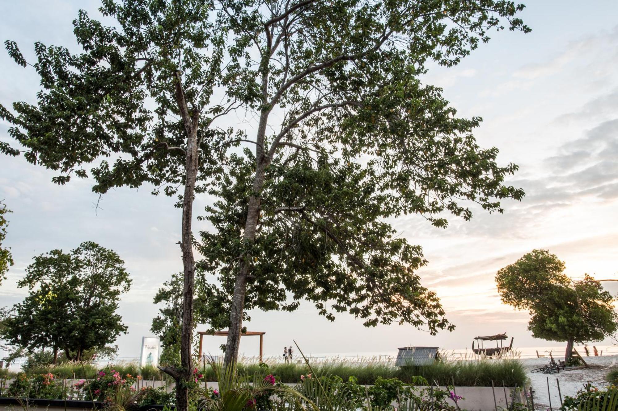 Ombak Sunset Otel Gili Trawangan Dış mekan fotoğraf